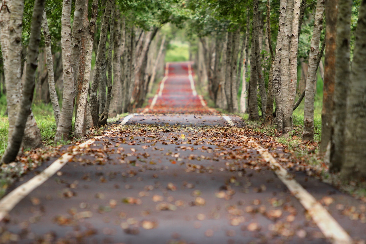 Maximizing Your Home’s Value — Pre-Listing Improvements for Fall (LaGrange, GA)